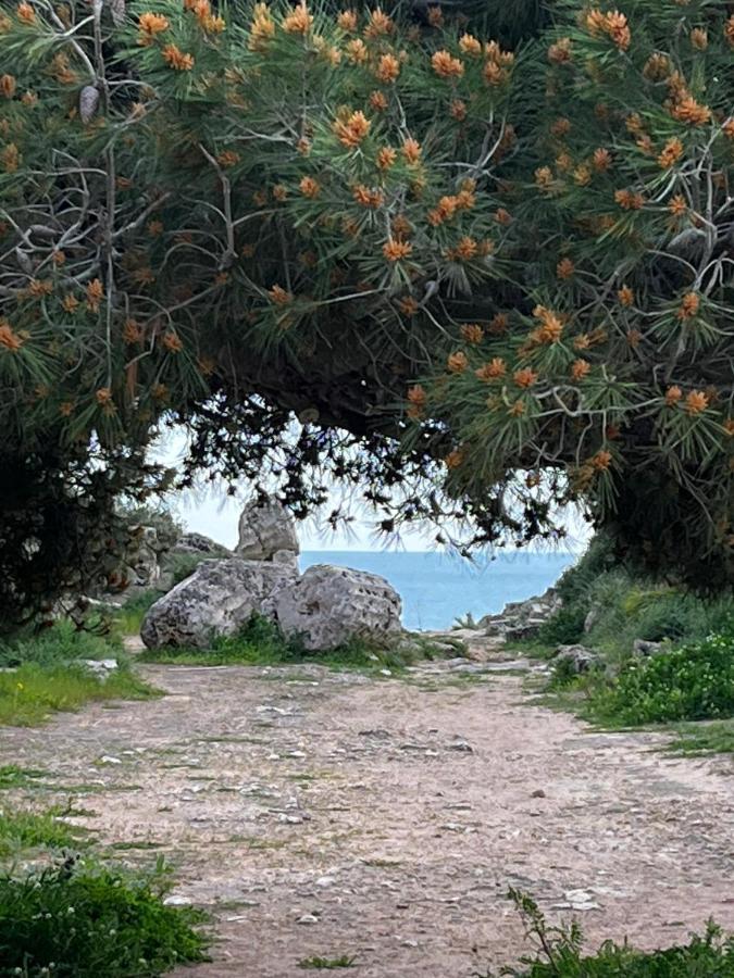 Colibri B&B Sciacca Luaran gambar